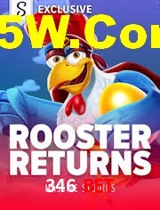 Crash Games Statistics 346 Bet